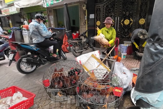 Vô tư mua bán gia cầm 3 không bất chấp dịch H5N1 đe dọa - Ảnh 4.