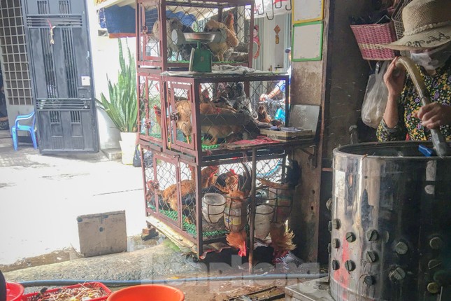 Vô tư mua bán gia cầm 3 không bất chấp dịch H5N1 đe dọa - Ảnh 3.