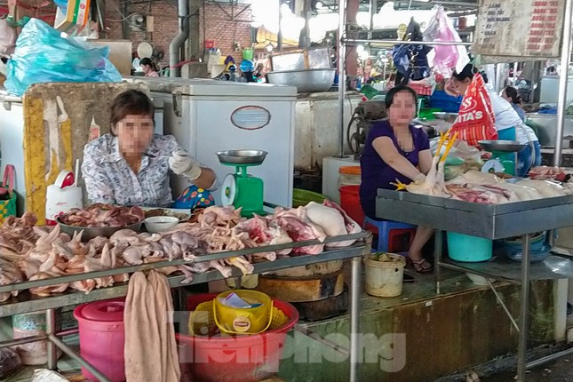 Vô tư mua bán gia cầm 3 không bất chấp dịch H5N1 đe dọa - Ảnh 2.