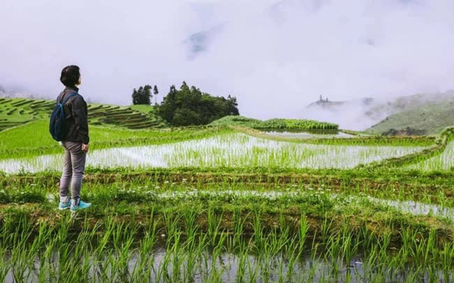 Tiết kiệm đủ vài trăm tỷ, tôi sẽ đi du lịch khắp thế giới, giờ liều lĩnh kiếm tiền là chọn cách chết trong tương lai - Ảnh 1.