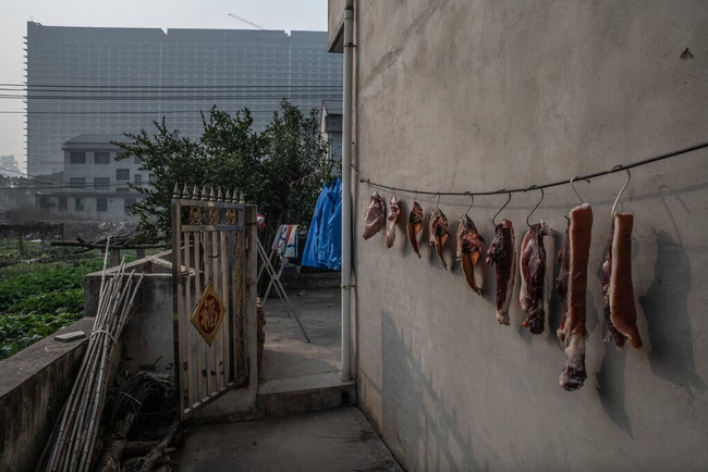 Khan hiếm đất nông nghiệp, Trung Quốc xây chung cư để nuôi lợn với công nghệ tiên tiến, cho ăn cũng bằng dây chuyền hoàn toàn tự động - Ảnh 10.