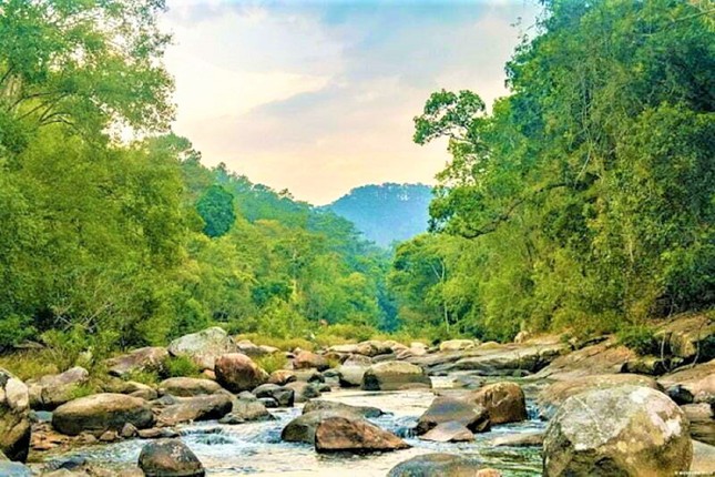 Du kh&aacute;ch đến từ TP.HCM tử vong khi leo n&uacute;i d&atilde; ngoại ở Đắk Lắk - Ảnh 1.