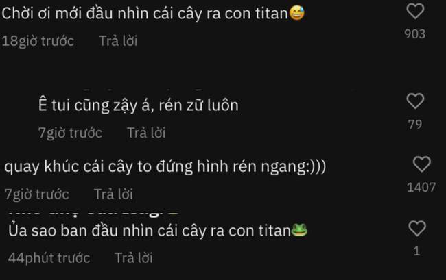 Cảnh tượng như phim viễn tưởng khi leo con đèo nổi tiếng tại Tây Nguyên, cứ tưởng đang lạc vào “xứ sở Titan” - Ảnh 4.