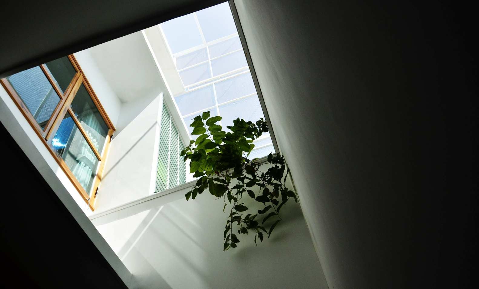 Độc lạ ngôi nhà như chiếc lồng đèn khổng lồ - Ảnh 5. Độc lạ ngôi nhà như chiếc lồng đèn khổng lồ - Ảnh 5.