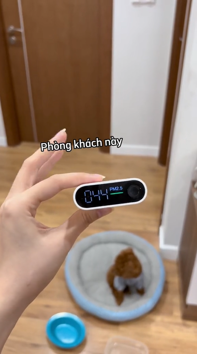 Không khí sau khi được xử lý với máy lọc thực sự có sạch hơn không? Sạch đến mức nào? - Ảnh 2. Không khí sau khi được xử lý với máy lọc thực sự có sạch hơn không? Sạch đến mức nào? - Ảnh 2.