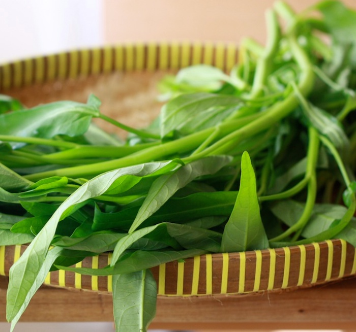 Cách trồng rau muống bằng cành lớn nhanh như thổi - Ảnh 7. Cách trồng rau muống bằng cành lớn nhanh như thổi - Ảnh 7.