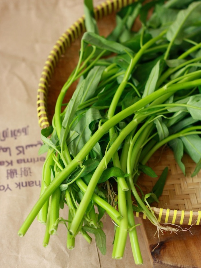 Cách trồng rau muống bằng cành lớn nhanh như thổi - Ảnh 1. Cách trồng rau muống bằng cành lớn nhanh như thổi - Ảnh 1.