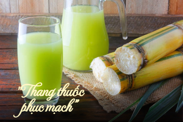 Thức uống được Đông y gọi là thang thuốc phục mạch, uống vào mùa hè vừa khỏe gan, tốt cho thận lại đẹp da - Ảnh 1.