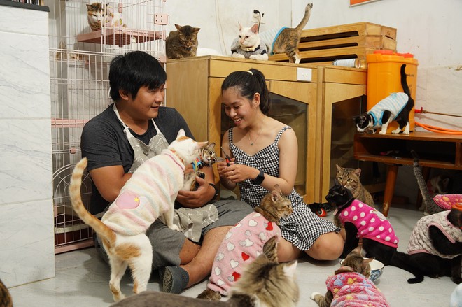 Đôi bạn trẻ dành hết số tiền cưới thành lập trạm cứu hộ mèo hoang ở Sài Gòn - Ảnh 1.