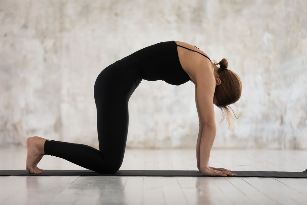 8 động tác Yoga giúp lưng thon, bụng dưới săn chắc - Ảnh 5.