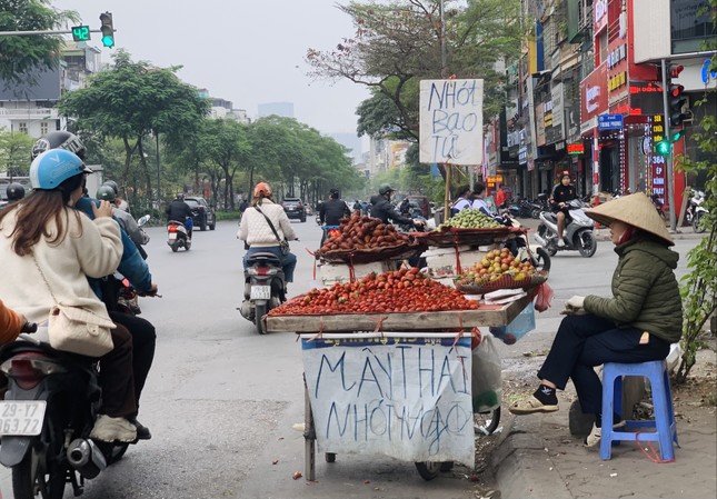 Hà Nội: Hoa quả đặc sản tưởng rẻ hóa đắt, loại đắt giá lại rẻ không tưởng - Ảnh 1.