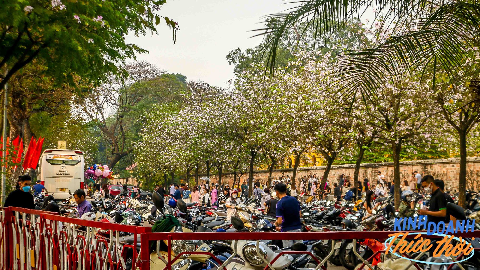 Lời đồn làm nhiếp ảnh chụp cho chị em vào mỗi mùa hoa có thể kiếm 100 triệu/tháng và sự thật từ những người trong cuộc - Ảnh 2.