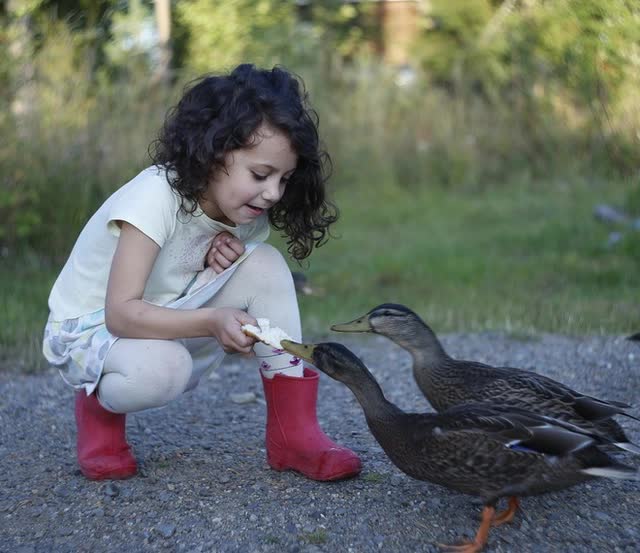 12 biểu hiện của đứa trẻ c&oacute; bộ n&atilde;o cực k&igrave; nhạy cảm, cha mẹ kh&eacute;o l&eacute;o gi&uacute;p con c&oacute; lợi thế hiếm c&oacute;, dễ gặt h&aacute;i th&agrave;nh c&ocirc;ng - Ảnh 3.