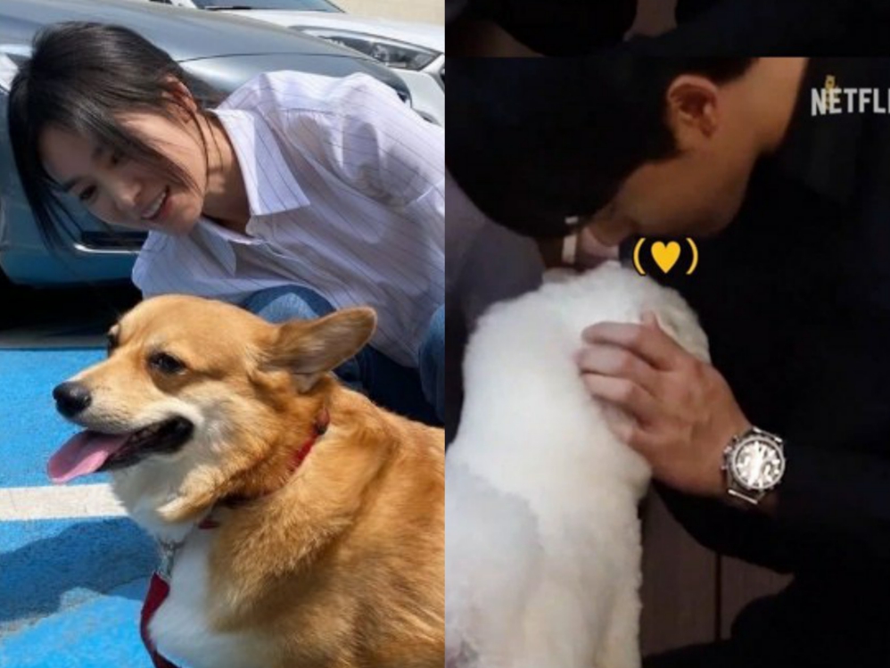 Có ai ngờ: Cặp Lee Do Hyun và Lim Ji Yeon giúp Song Hye Kyo phá vỡ lời nguyền tình ái đeo đuổi suốt hơn 20 năm! - Ảnh 3. Có ai ngờ: Cặp Lee Do Hyun và Lim Ji Yeon giúp Song Hye Kyo phá vỡ lời nguyền tình ái đeo đuổi suốt hơn 20 năm! - Ảnh 3.
