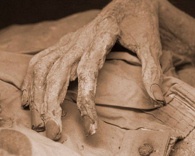 Các chuyên gia cảnh báo rằng các xác ướp được trưng bày ở Mexico có thể lây nhiễm nấm lời nguyền cho con người - Ảnh 3.