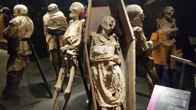 Các chuyên gia cảnh báo rằng các xác ướp được trưng bày ở Mexico có thể lây nhiễm nấm lời nguyền cho con người - Ảnh 2.