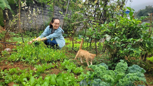 Anh kỹ sư mua 1.000m2 đất ngoại ô Hà Nội cho vợ nuôi gà, trồng rau, xây nhà sàn độc đáo - Ảnh 5.