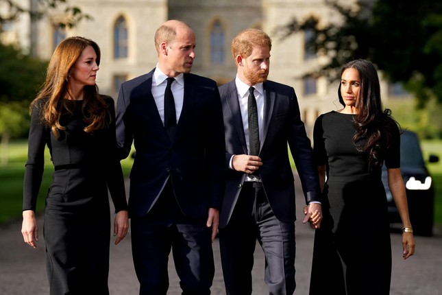 Độ nổi tiếng của Harry - Meghan tăng mạnh - Ảnh 1.