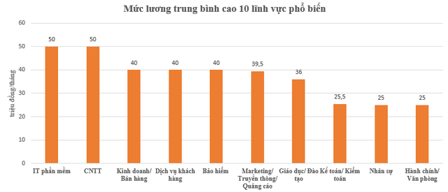 Mức lương trung bình của nhân sự IT, CNTT nhận 50 triệu đồng/tháng, cao hơn lĩnh vực bảo hiểm và kinh doanh - Ảnh 1.