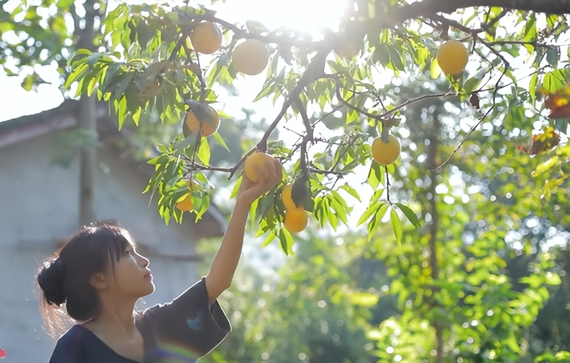 Bàn tay đầy sẹo sần sùi của tiên nữ đồng quê Lý Tử Thất: Hiện thực không như mơ - Ảnh 6.