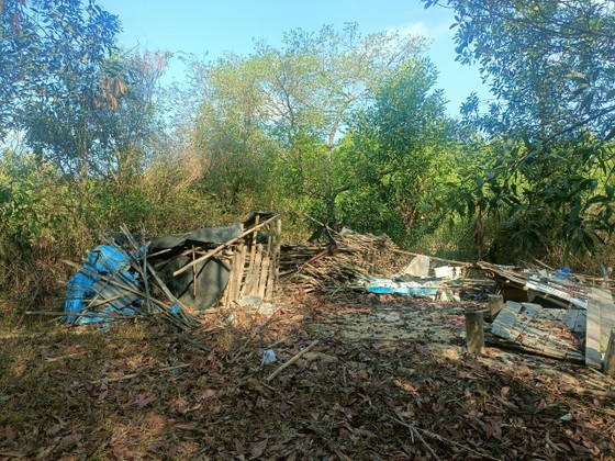 Đồng Nai: Voi rừng xuất hiện tấn c&ocirc;ng người d&acirc;n - Ảnh 2.