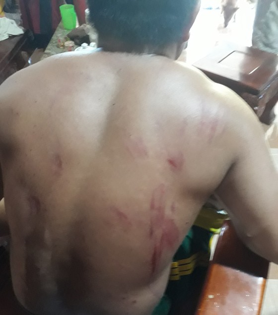 Đồng Nai: Voi rừng xuất hiện tấn c&ocirc;ng người d&acirc;n - Ảnh 1.