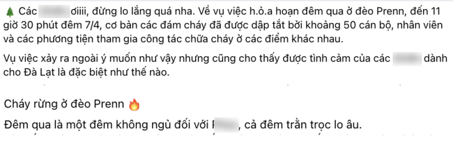 Du khách buồn bã, xót xa trước cảnh đồi thông cửa ngõ đèo Prenn bùng cháy dữ dội - Ảnh 5.