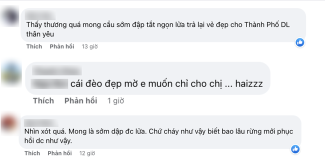 Du khách buồn bã, xót xa trước cảnh đồi thông cửa ngõ đèo Prenn bùng cháy dữ dội - Ảnh 4.