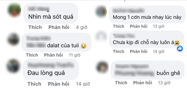 Du khách buồn bã, xót xa trước cảnh đồi thông cửa ngõ đèo Prenn bùng cháy dữ dội - Ảnh 3.