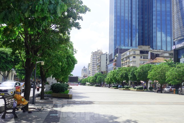Chuy&ecirc;n gia n&oacute;i về phương &aacute;n l&agrave;m m&aacute;i che tại c&ocirc;ng vi&ecirc;n, phố đi bộ Nguyễn Huệ - Ảnh 4.