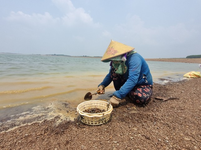 Kiếm tiền triệu mỗi ngày nhờ hồ Trị An... cạn nước - Ảnh 3.