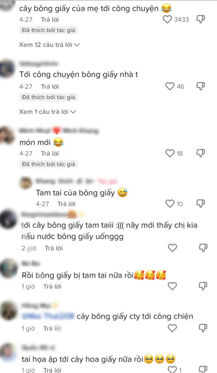 Gỏi gà măng cụt chưa kịp hết “năm tam tai” thì loài hoa quen thuộc đã ...