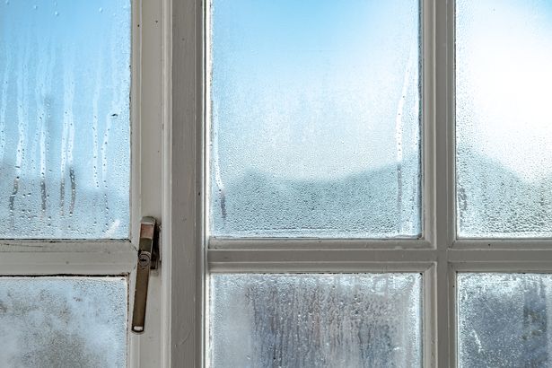 7 điều bạn có thể làm để tiết kiệm hóa đơn điện nước - Ảnh 4. 7 điều bạn có thể làm để tiết kiệm hóa đơn điện nước - Ảnh 4.