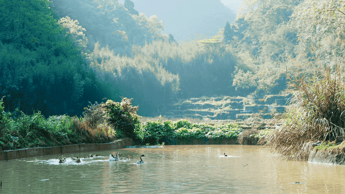 Người đàn ông thuê cả vùng đất hoang làm thiên đường riêng, thu hút nhiều bạn trẻ từ bỏ thành phố: Cuộc sống không tiêu tiền rất hạnh phúc! - Ảnh 8.