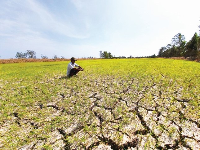 H&igrave;nh th&aacute;i thời tiết hết sức nguy hiểm những năm El Nino - Ảnh 2.
