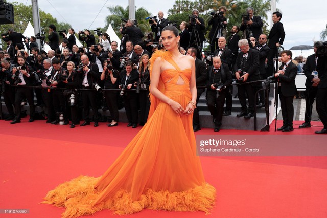 Thảm đỏ Cannes ngày 2: Rosé và nữ hoàng làng giải trí Thái đối lập, bản sao Song Hye Kyo chơi trội - Ảnh 9.