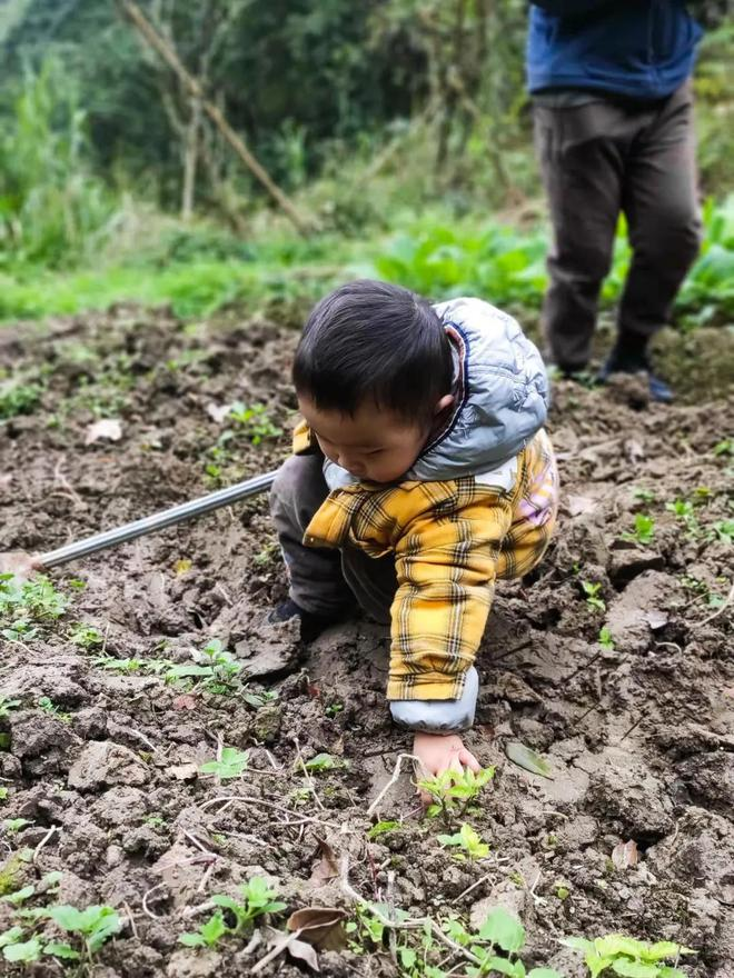 8 người bạn rủ nhau sống chung trên núi: Gần như chẳng tốn đồng nào, cố gắng nuôi dạy thế hệ nhỏ giữa núi đồi - Ảnh 11.