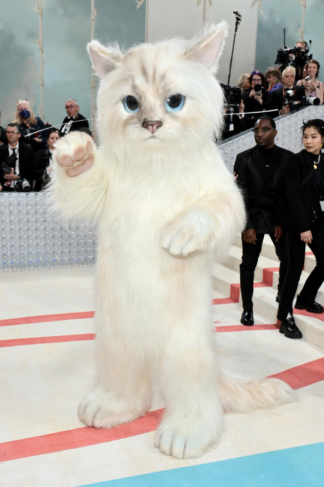 Jared Leto hóa trang thành mèo Choupette của Karl Lagerfeld trên thảm đỏ Met Gala - Ảnh 2.