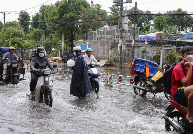 Nhiều tuyến đường ở TP.HCM biến thành sông sau mưa to: Ô tô chết máy phải nhờ xe khác kéo về - Ảnh 4.