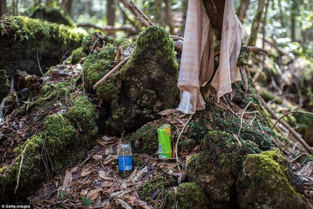 誰もが日本に足を踏み入れる勇気があるわけではない一連の観光地 - 写真 3。