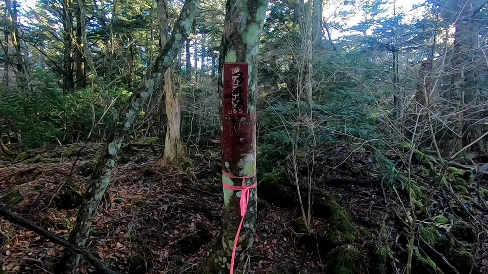 誰もが日本に足を踏み入れる勇気があるわけではない一連の観光地 - 写真 2。