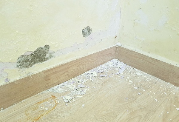 Mua nhà nhỏ trong ngõ sâu, giá rẻ nhưng ở thì chật vật, bán thì khó: Mua nhà đừng chọn 5 kiểu nhà nghèo, ham của rẻ thì thiệt thòi nhiều - Ảnh 2.