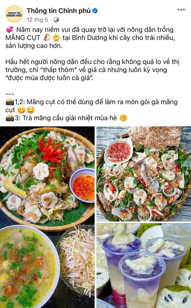 Vì sao fanpage Thông tin Chính phủ lại được giới trẻ yêu thích như hiện tại? - Ảnh 3.