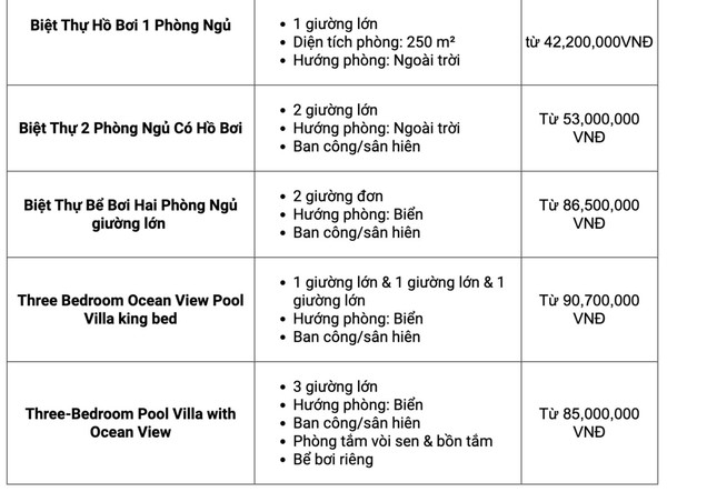 Người giàu Việt du lịch: Thuê máy bay riêng, villa 100-200 triệu đồng/đêm - Ảnh 2.