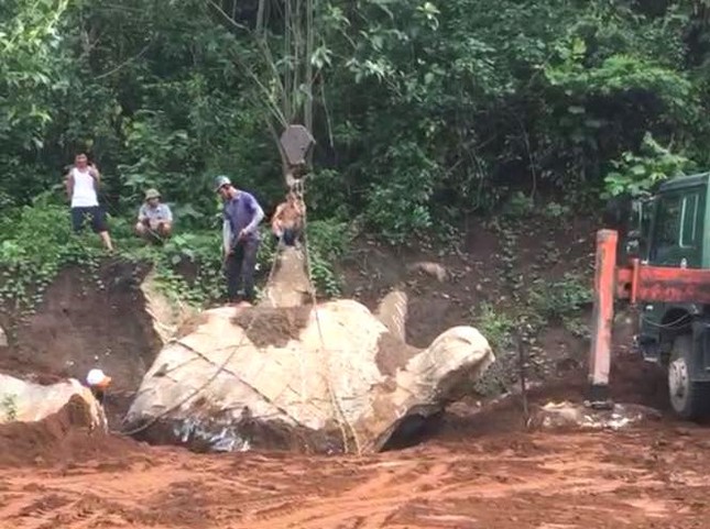 Người d&acirc;n đ&agrave;o m&oacute;ng nh&agrave; được tảng đ&aacute; h&igrave;nh con r&ugrave;a g&acirc;y x&ocirc;n xao - Ảnh 1.