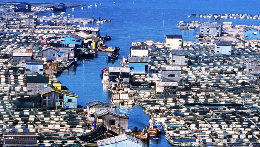 'Ngôi làng trên biển' ở Trung Quốc: Nhà nổi, cuộc sống tiện nghi không thua gì đất liền