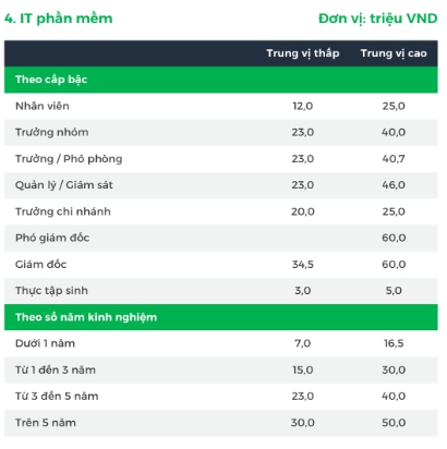 “Vua của mọi ngành” có lương đến 60 triệu ở Việt Nam, nhưng hơn 200.000 nhân sự toàn cầu lại rơi vào “khốn đốn”: Thời hoàng kim liệu đã qua?  - Ảnh 2.