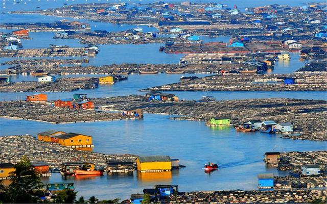 'Ngôi làng trên biển' ở Trung Quốc: Nhà cửa nổi lênh đênh, cuộc sống tiện nghi không thua trên đất liền
