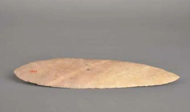 Cậu học sinh nhặt được chiếc lá, chuyên gia khảo cổ tuyên bố “Đây là bảo vật vô giá, có lịch sử hơn 6.000 năm” - Ảnh 2.