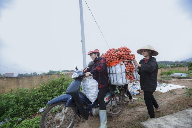 Chùm ảnh: Người dân Bắc Giang trắng đêm soi đèn thu hoạch vải thiều, nô nức chở đi bán từ tờ mờ sáng - Ảnh 10.